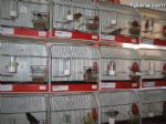 Exhibición Ornitológica 