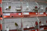 Exposición ornitológica