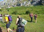 Picos de Europa