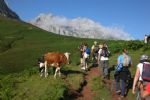 Picos de Europa