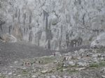 Picos de Europa