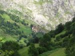 Picos de Europa