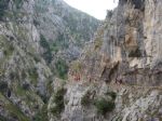 Picos de Europa