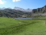 Picos de Europa