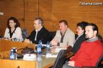 Pleno febrero 2011