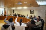 Pleno Marzo 2011