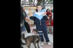 San Anton 2010