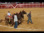 Toros Totana - 85 Toros Totana