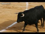 Toros Totana - 88 Toros Totana