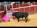 Toros Totana - 89 Toros Totana