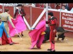 Toros Totana
