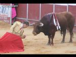 Toros Totana