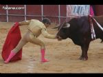 Toros Totana