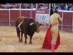 Toros Totana