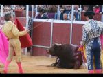 Toros Totana