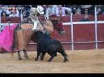 Toros Totana