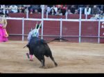Toros Totana