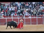 Toros Totana