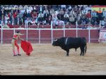 Toros Totana