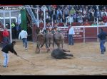 Toros Totana