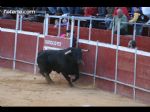 Toros Totana