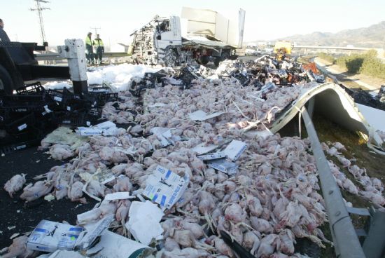 El choque entre un camin y un vehculo articulado provoc retenciones de trfico en la A-7 a la altura de Totana, Foto 2