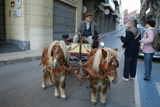 Santa Eulalia de Mrida volvi a su ermita el pasado 8 de enero arropada por el calor de miles de romeros, Foto 8