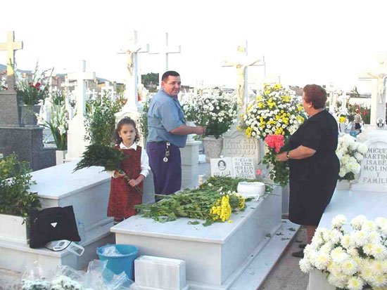 Los totaneros recordaron con miles de flores a sus difuntos, Foto 1