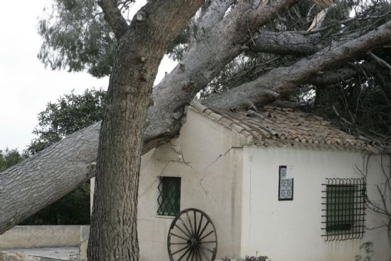 Los fuertes vientos de mediados de la semana pasada causaron daos en viviendas, arbolado y centros educativos, Foto 3