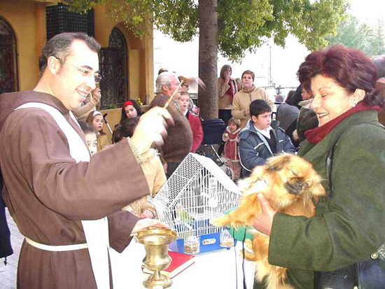 Los animales recibieron la bendicin en el da de su patrn, Foto 2