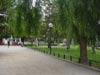 Se ha vuelto a poner este verano servicio de vigilancia en el parque “Marcos Ortiz” para evitar robos y actos vandálicos