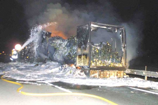 Un camin se incendi en la autova a la altura de Totana el pasado lunes por la noche, Foto 1