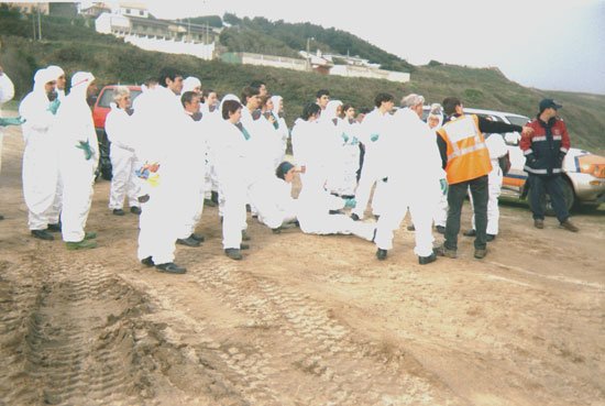 Una treintena de personas tomaron parte en el viaje que parti de Totana para trabajar en la retirada de chapapote en Galicia, Foto 4
