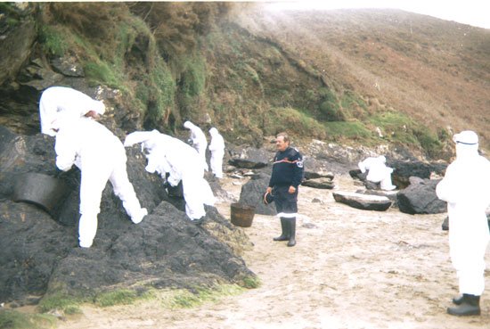 Una treintena de personas tomaron parte en el viaje que parti de Totana para trabajar en la retirada de chapapote en Galicia, Foto 2