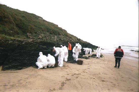 Una treintena de personas tomaron parte en el viaje que partió de Totana para trabajar en la retirada de chapapote en Galicia, Foto 3
