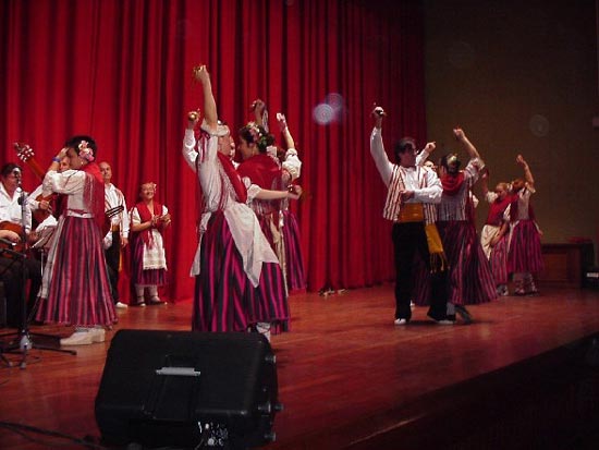 El festival folklrico Otoo cultural congreg a numerosoas personas, Foto 2