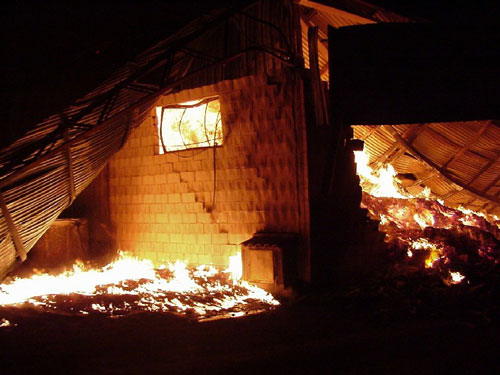 Un incendio arrasa una nave hortofrutcola en el paraje de El Bosque, Foto 2