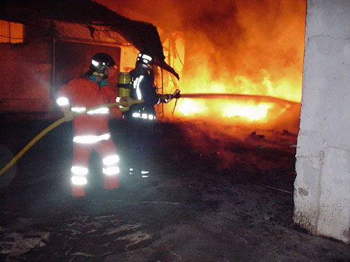 Un incendio arrasa una nave hortofrutcola en el paraje de El Bosque, Foto 3