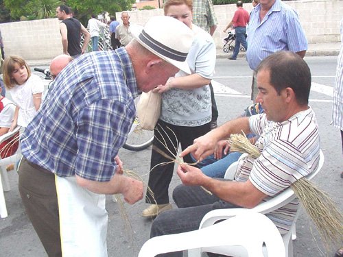 Aprendiendo a valorar y respetar el Medio Ambiente, Foto 3