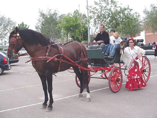 Ambiente andaluz en Totana, Foto 5