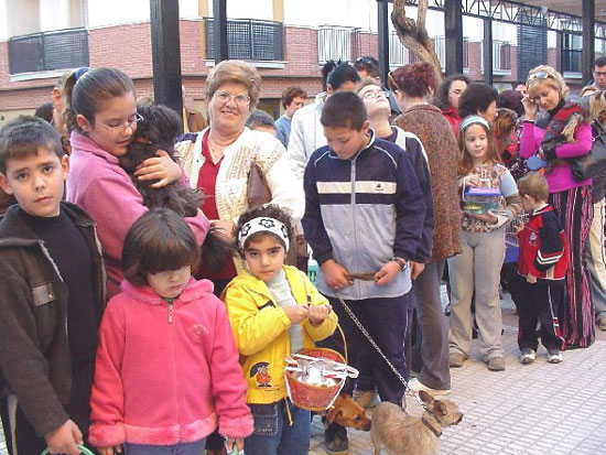 Todo un arca de Noé, Foto 2