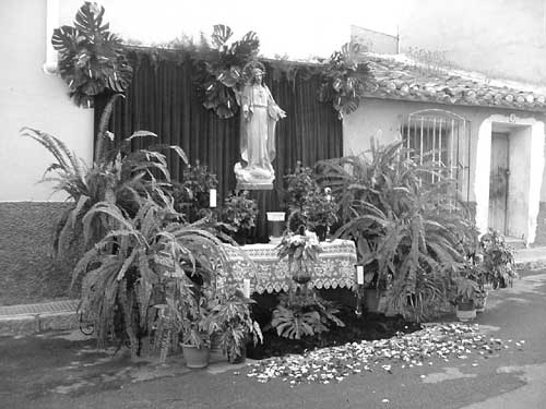 Las fiestas del barrio de San Roque contaron con numerosa participación y buen ambiente, Foto 1